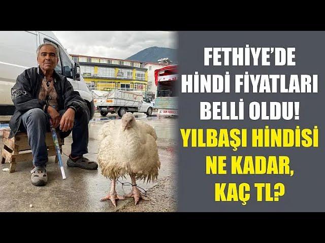 Fethiye'de Hindi fiyatları belli oldu Yılbaşı hindisi ne kadar, kaç TL