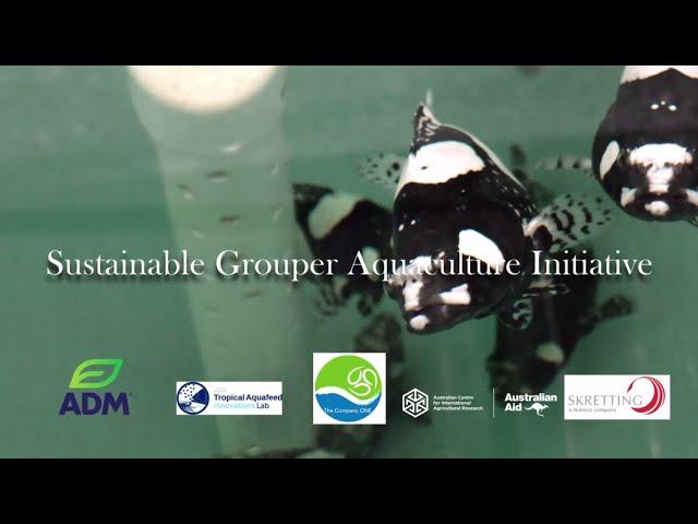 Sustainable Grouper Aquaculture Initiative