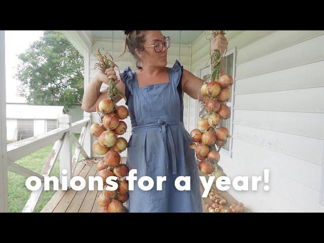 garden update | storing onions for long term