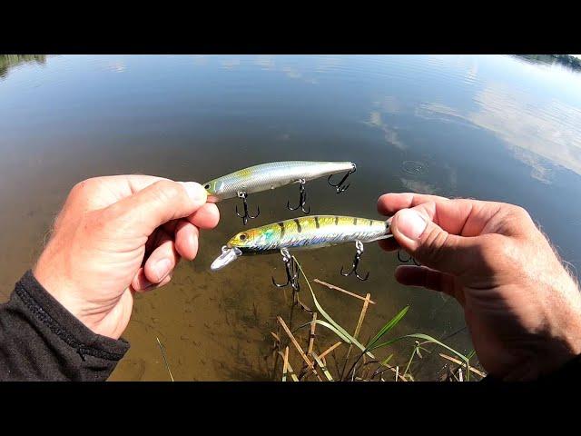 Какой Китайский Орбит ЛУЧШЕ ? WALK FISH или Bearking ORBIT 110 Воблеры с алиэкспрэсс.