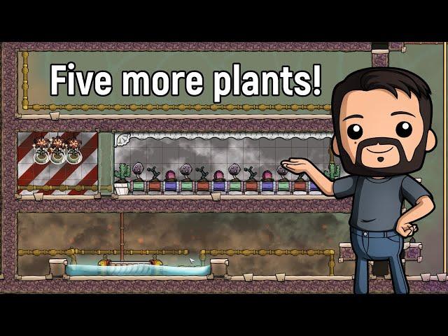 How not to plant Sporchids | Ep 16 | ONI - Farm - Verdante