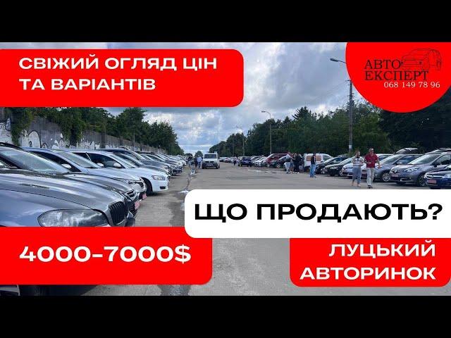  «БЮДЖЕТКИ» ЛУЦЬКОГО АВТОРИНКУ️4000-7000$️2 частина  АВТОПІДБІР ПЕРЕВІРКА АВТО ️068-149-78-96