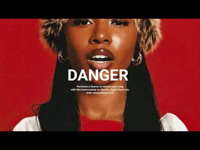 [FREE] Wizkid x Afrobeat Type Beat - "Danger"