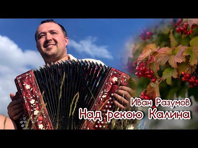 Иван Разумов - Над рекою калина на гармони