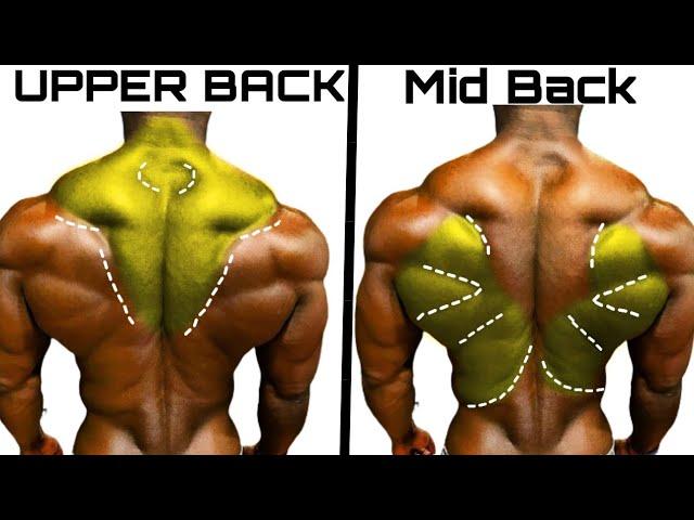 Top 4 Middle Back Upper Back Workout to Build Wide Back Workout - Wide Back
