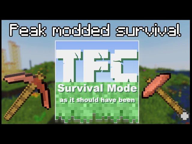 TerraFirmaCraft: The Legendary Minecraft Mod