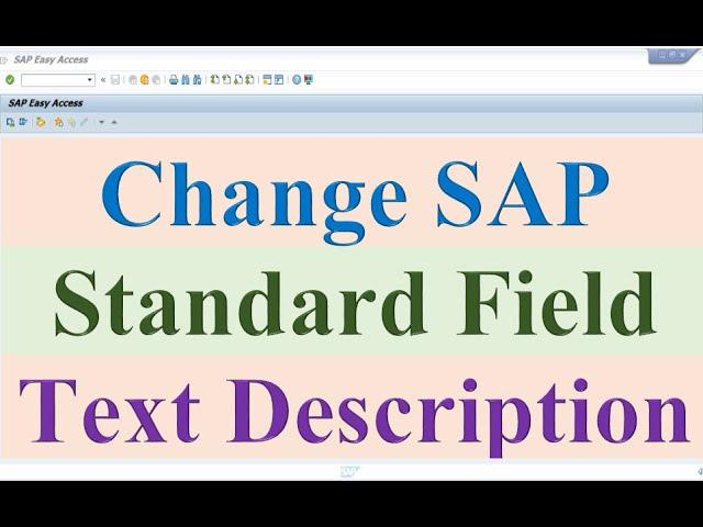 How to Change SAP Standard Field TEXT Description