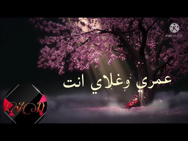 اغنية سيف نبيل غلاي انت مع الكلمات