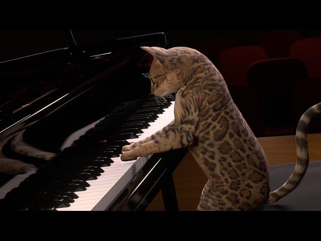 The Cat Concerto