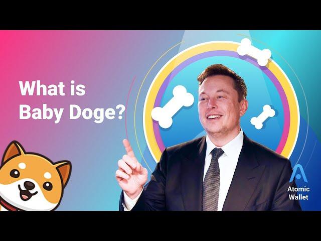 What is Baby Doge Coin?