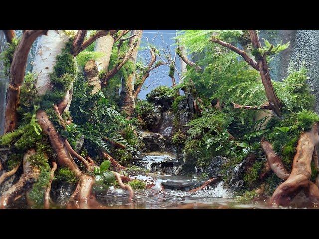 Put a real forest on your desk. Creating a healing terrarium with small waterfalls and streams