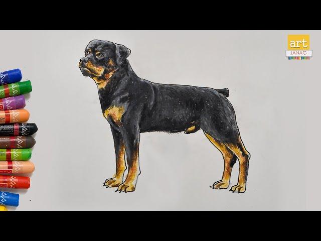 How to Draw Rottweiler Dog || Rottweiler Drawing easy || Dog Drawing  || Art JanaG