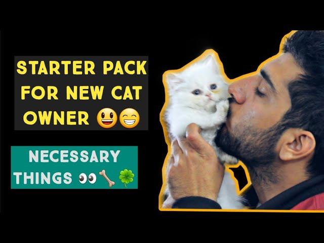 Everything You need for Your Cat & Kittens | Most essentials for New cat owners