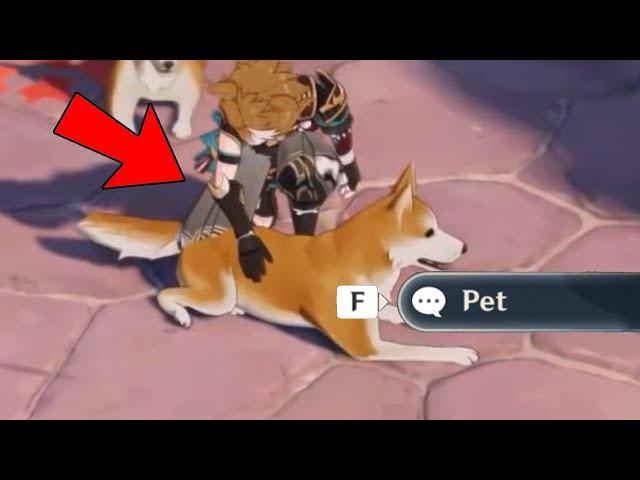 How To Pet The Dogs (allegedly) - Genshin Impact