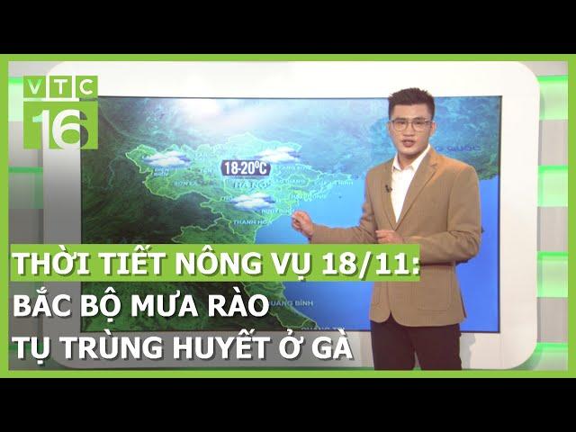 Thời tiết nông vụ 18/11: Bắc Bộ mưa rào, cảnh báo bệnh tụ trùng huyết ở gà | VTC16