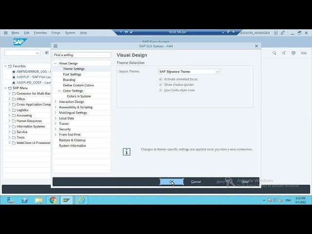 change SAP GUI visual theme