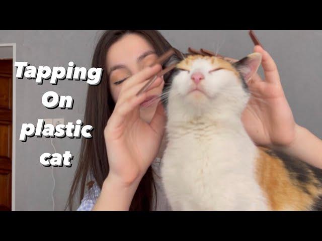 Asmr tapping on plastic cat #2