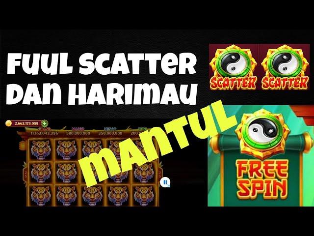 room panda terbaru | full scatter full harimau