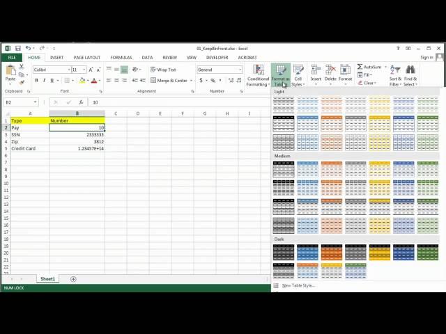 How to Keep 0 at the Front of a Number in Excel : MS Excel Tips