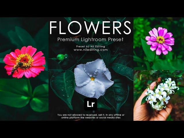 Creative Flowers Photography | Lightroom Mobile Presets DNG & XMP Download