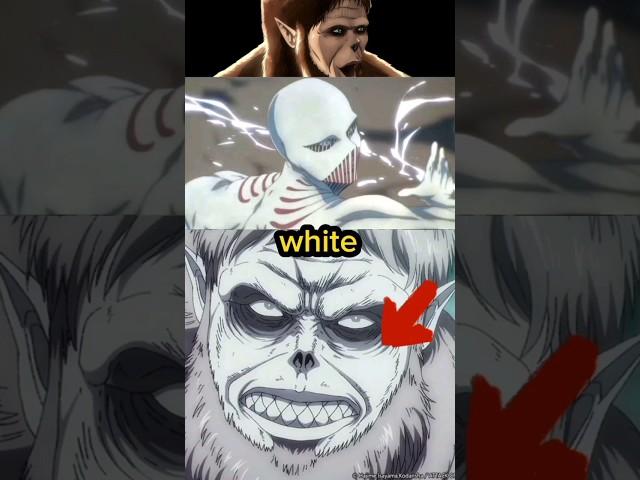 WHY BEAST TITAN was WHITE EXPLAINED in AOT #anime #shorts