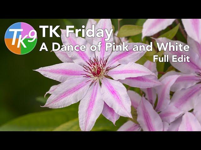 TK FRIDAY (A Dance Of Pink and White) FULL EDIT