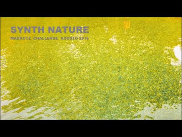 DOTBEATS - SYNTH NATURE