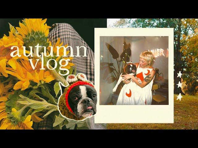 autumn vlog ⋆｡𖦹 ° fiber art, fall foliage, halloween party