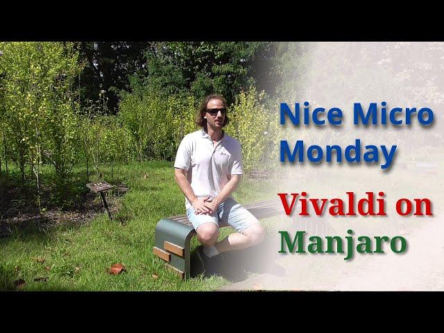 The Vivaldi  browser on Manjaro - Nice Micro Monday #12