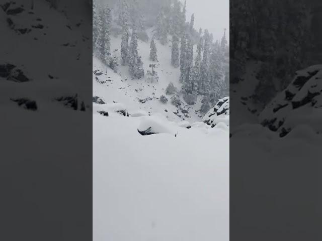 Most Beautiful SNOWFALL at Kareri Lake  WAKING up to this #karerilake #himachalpradesh #trek