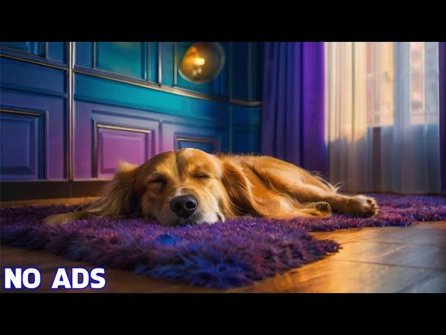 10 Hours of Dog Sleep Music For DogsCalming Music For DogAnti Separation Anxiety Relief