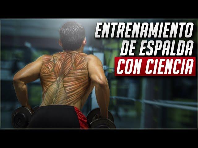 El mejor entrenamiento de espalda / CIENTÍFICAMENTE COMPROBADO