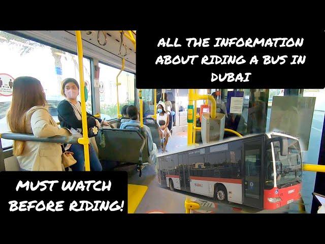 Public Bus In Dubai All You Need To Know Before Riding