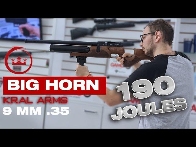 Review Kral Puncher BIG HORN - 9 mm 190 JOULES - Super potente para cazar