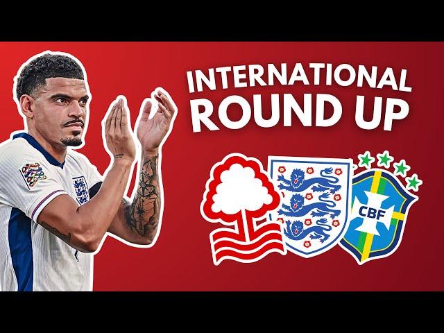 FOREST INTERNATIONAL ROUND UP! 