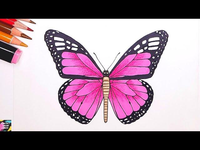 How to draw a realistic butterfly | Butterfly drawing tutorial | Easy butterfly drawing