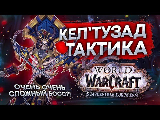 ТАКТИКА Кел'Тузад БОСС СВЯТИЛИЩЕ ГОСПОДСТВА wow shadowlands 9.1