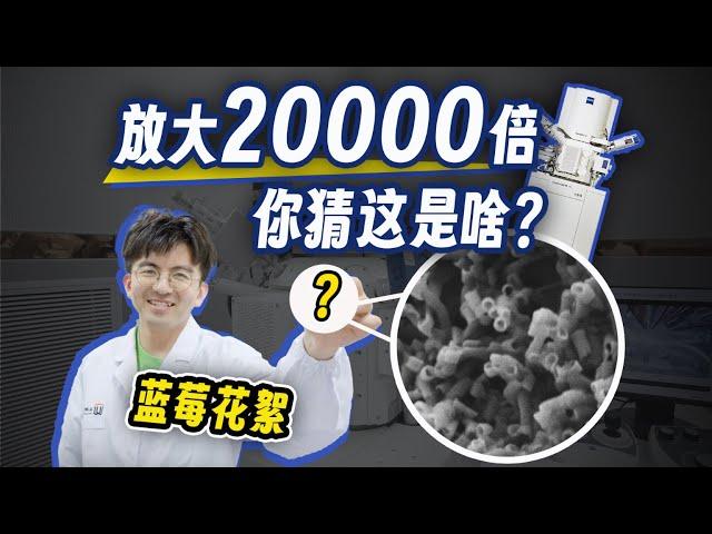 【毕导】或许是史上最枯燥的vlog——看电镜！#电镜 #科学 #科普