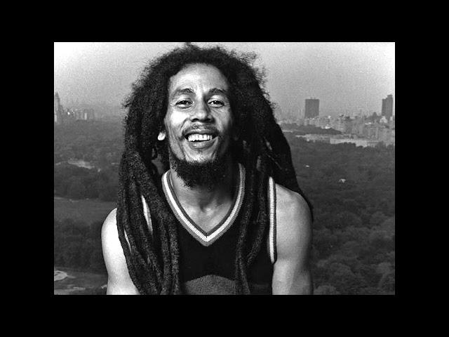 [FREE] bob marley *reggae* type beat - "bang bang"