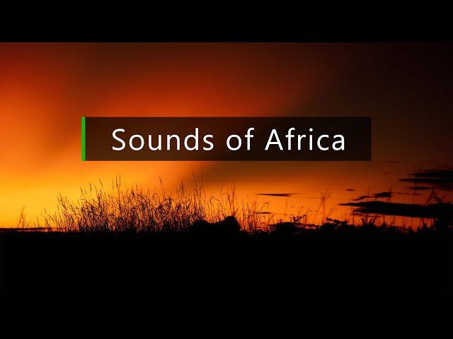 Nature and wildlife sounds - Dusk in the African bush