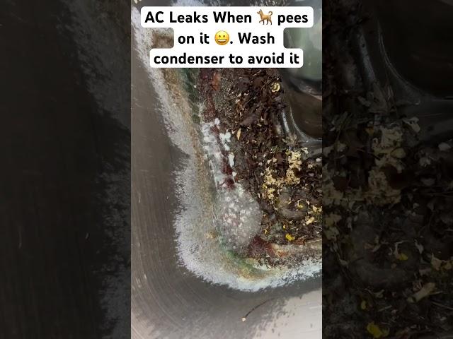 AC Coils leak with Acidic Liquids #shorts #hvac