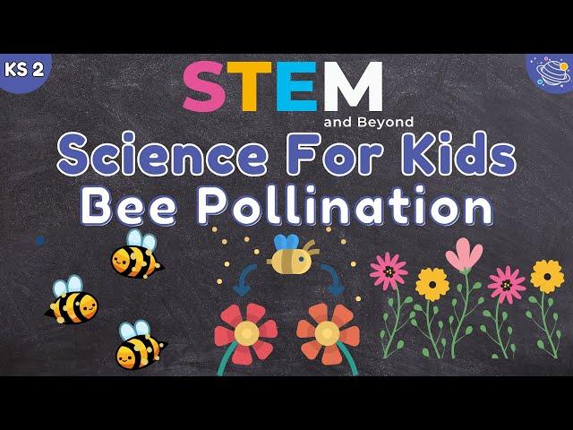 How Bees Help Flowers Grow: The Magic of Pollination! | KS2 Science | STEM and Beyond