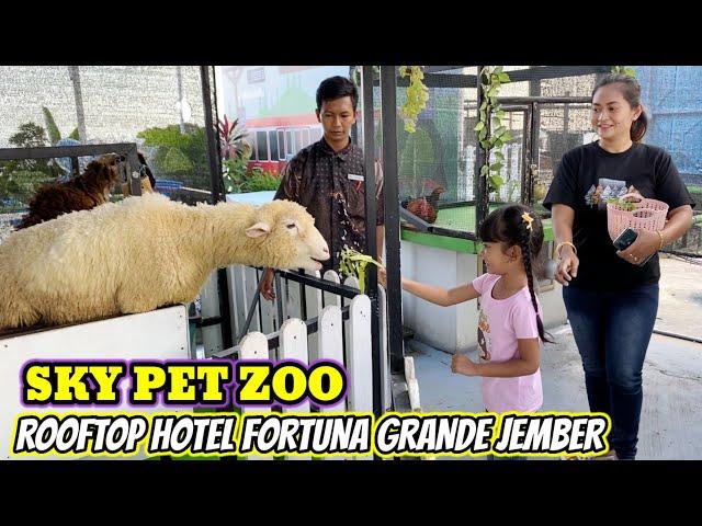 SKY PET ZOO DI HOTEL FORTUNA GRANDE JEMBER