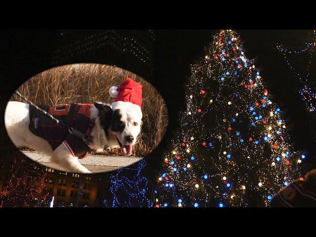 A CLEveland Christmas by Sam Rus ~ Parody to Christmas (Baby Please Come Home) by Darlene Love