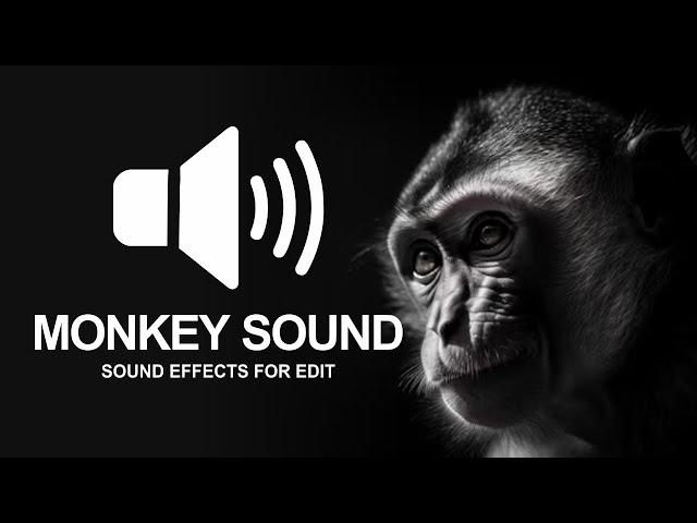 Monkey sound effects for edits FREE