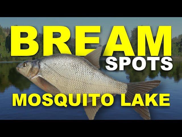 Russian Fishing 4 BREAM SPOTS Mosquito Lake