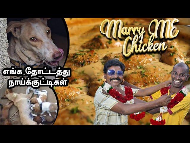 எங்க தோட்டத்து 4 நாய்க்குட்டிகள் | Marry Me Chicken | Flavour Fusion Chicken