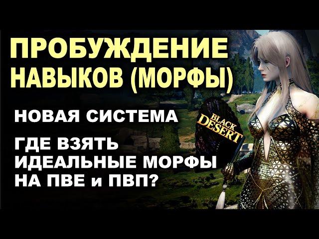 НОВЫЕ МОРФЫ (Пробуждение навыков): Как сделать морфы на свой клас в БДО (BDO - Black Desert)