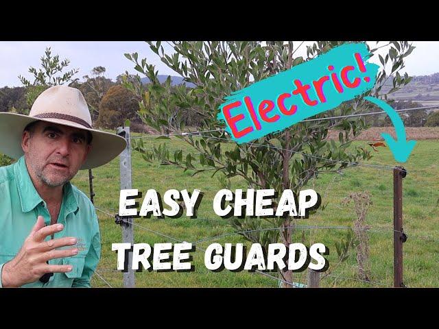 Fast Tip: Use Your Fence as a Tree Guard!