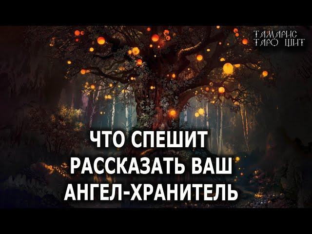 О чем спешит рассказать Ангел-Хранитель?  ГАДАНИЕ ОНЛАЙН  РАСКЛАД ТАРО